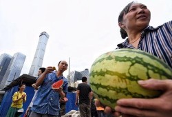 51朝阳吃瓜,揭秘娱乐圈最新吃瓜事件，带你领略明星幕后故事